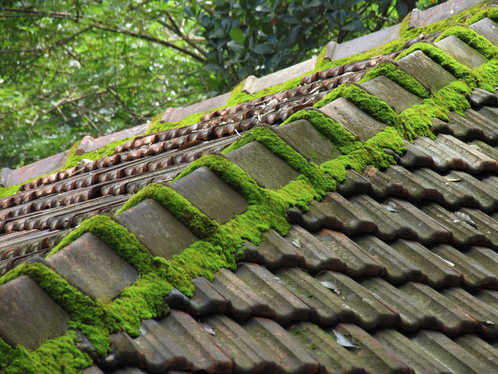 Démoussage de toiture à Balnot-la-Grange